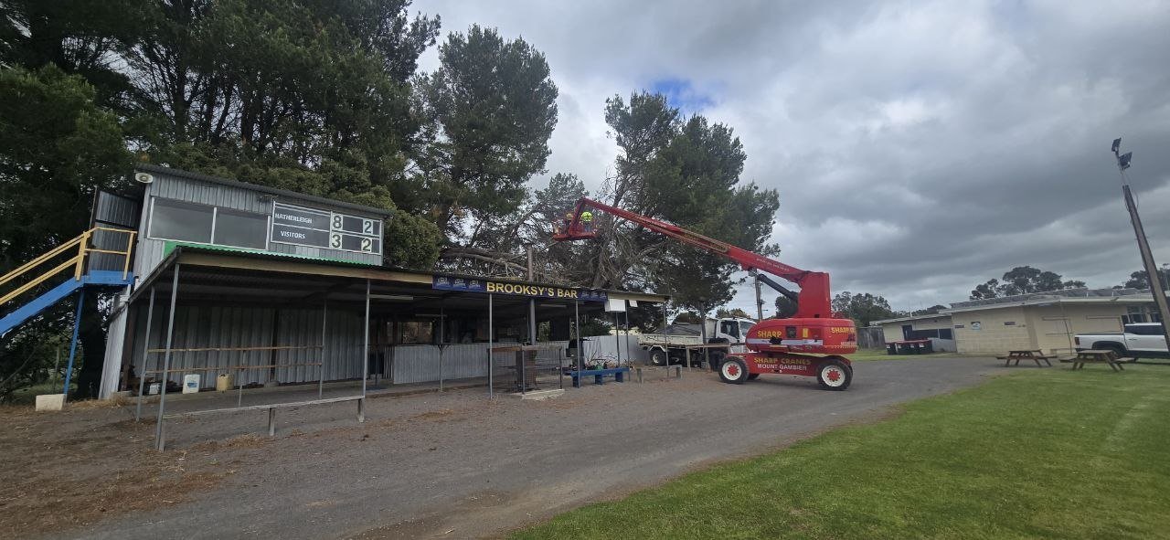 An elevated work platform cutting back overgrown pines behind Brooksy's Bar and the old scoreboard, 2025