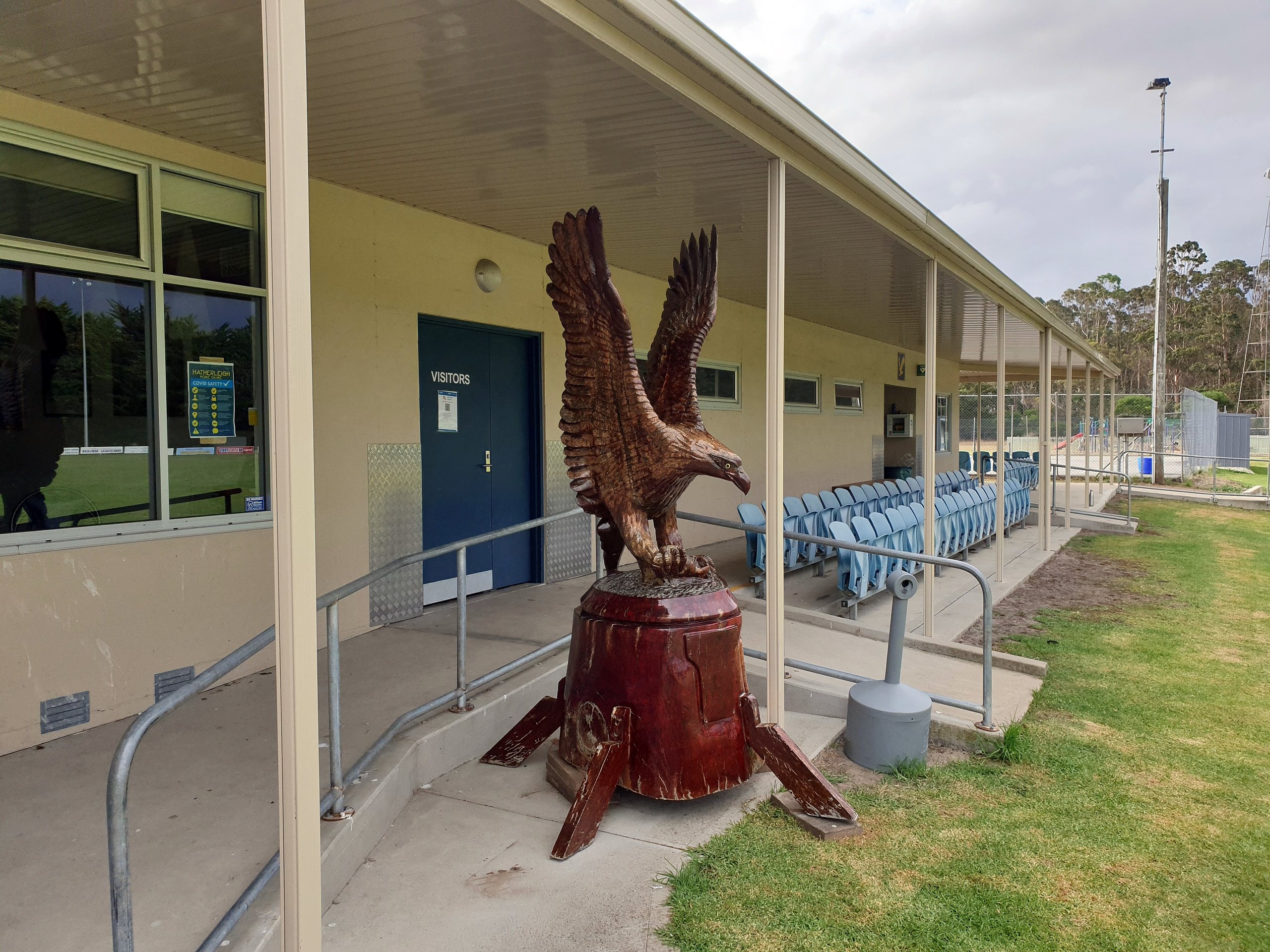 The carved red gum eagle, wings raised, standing in front of the Hatherleigh clubrooms beside the grandstand